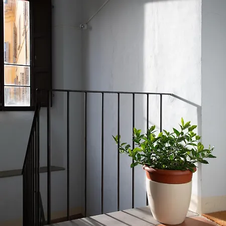 Palazzo Baronio- Casa Di Olimpio * Ravena