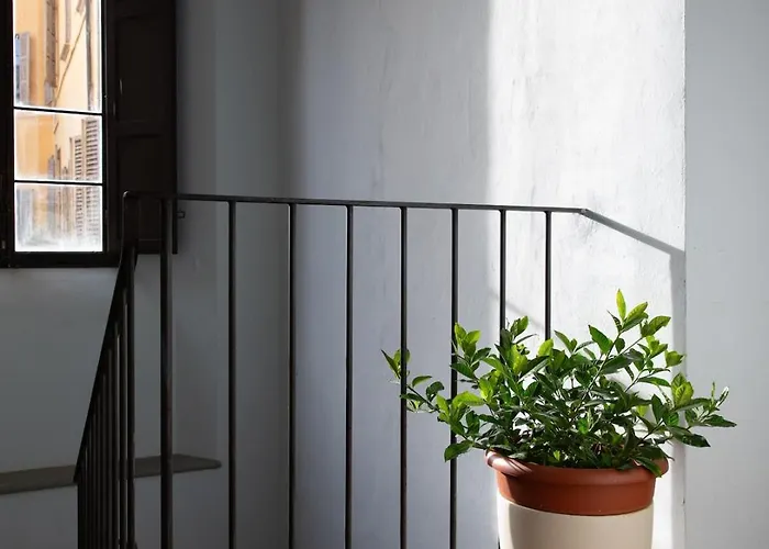 Palazzo Baronio- Casa Di Olimpio * Rávena