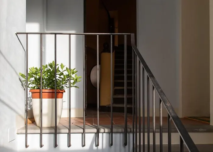 Palazzo Baronio- Casa Di Olimpio * Rávena